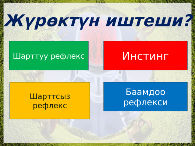 Жүрөктүн иштеши? Шарттуу рефлекс Инстинг Баамдоо рефлекси Шарттсыз рефлекс 