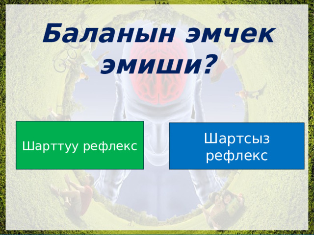  Баланын эмчек эмиши? Шарттуу рефлекс Шартсыз рефлекс 
