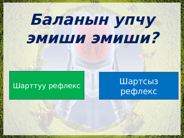  Баланын упчу эмиши эмиши? Шарттуу рефлекс Шартсыз рефлекс 