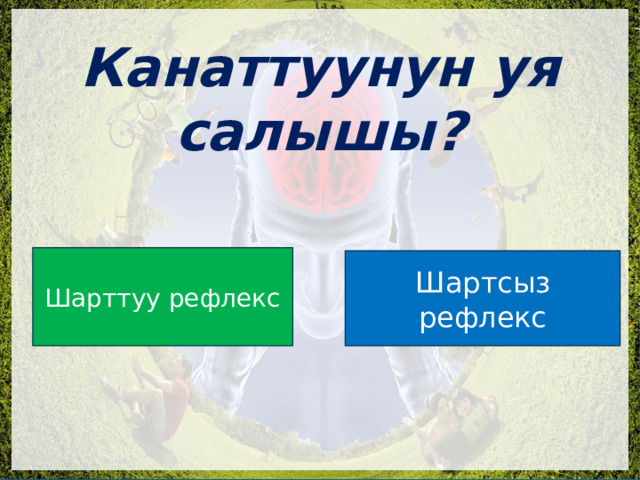  Канаттуунун уя салышы? Шарттуу рефлекс Шартсыз рефлекс 