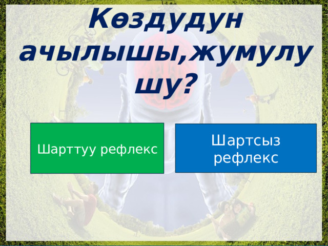  Көздудун ачылышы,жумулушу? Шарттуу рефлекс Шартсыз рефлекс 