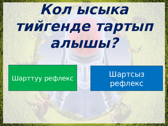  Кол ысыка тийгенде тартып алышы? Шарттуу рефлекс Шартсыз рефлекс 
