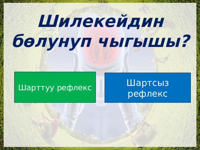  Шилекейдин бөлунуп чыгышы? Шарттуу рефлекс Шартсыз рефлекс 