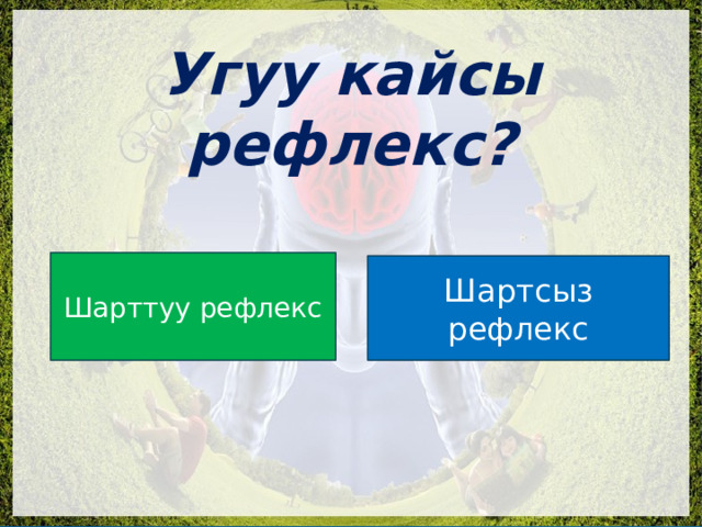  Угуу кайсы рефлекс? Шарттуу рефлекс Шартсыз рефлекс 