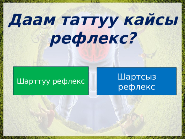  Даам таттуу кайсы рефлекс? Шарттуу рефлекс Шартсыз рефлекс 
