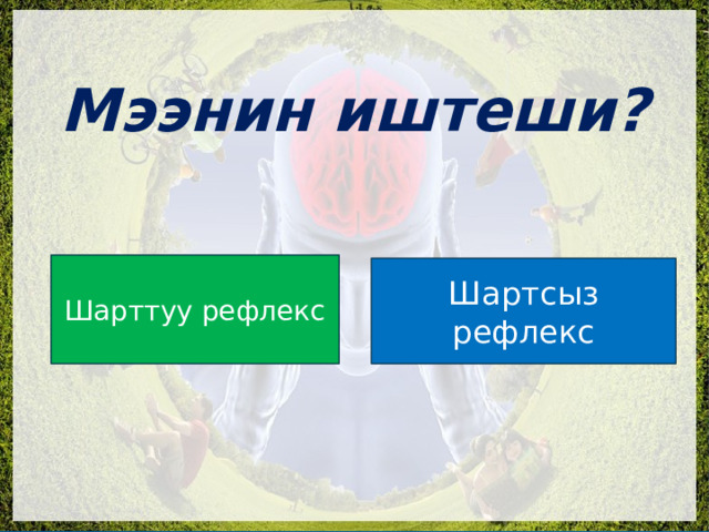  Мээнин иштеши? Шарттуу рефлекс Шартсыз рефлекс 
