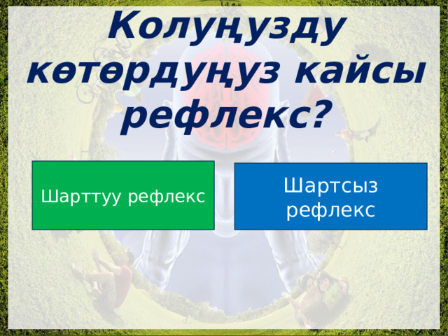  Колуңузду көтөрдуңуз кайсы рефлекс? Шарттуу рефлекс Шартсыз рефлекс 