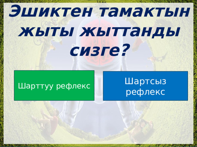  Эшиктен тамактын жыты жыттанды сизге? Шарттуу рефлекс Шартсыз рефлекс 