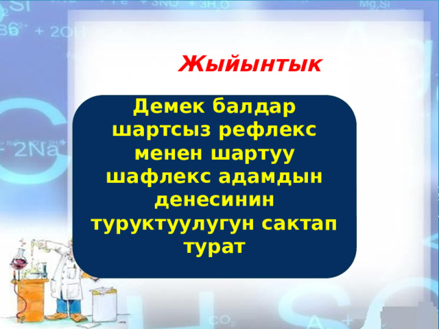 Жыйынтык Демек балдар шартсыз рефлекс менен шартуу шафлекс адамдын денесинин туруктуулугун сактап турат  