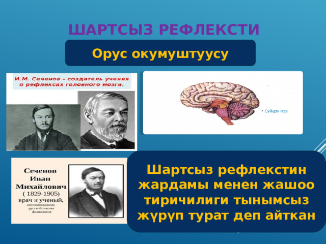 Шартсыз рефлексти Орус окумуштуусу Шартсыз рефлекстин жардамы менен жашоо тиричилиги тынымсыз жүрүп турат деп айткан 