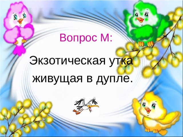 Вопрос М: Экзотическая утка живущая в дупле. 
