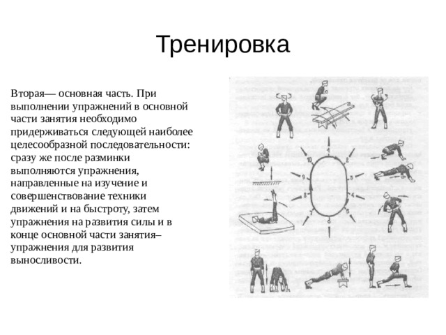 Тренировка Вторая— основная часть. При выполнении упражнений в основной части занятия необходимо придерживаться следующей наиболее целесообразной последовательности: сразу же после разминки выполняются упражнения, направленные на изучение и совершенствование техники движений и на быстроту, затем упражнения на развития силы и в конце основной части занятия–упражнения для развития выносливости. 