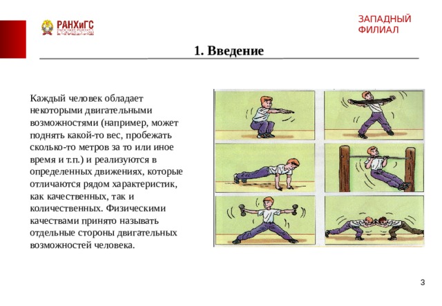 ЗАПАДНЫЙ ФИЛИАЛ  1. Введение Каждый человек обладает некоторыми двигательными возможностями (например, может поднять какой-то вес, пробежать сколько-то метров за то или иное время и т.п.) и реализуются в определенных движениях, которые отличаются рядом характеристик, как качественных, так и количественных. Физическими качествами принято называть отдельные стороны двигательных возможностей человека.  3 