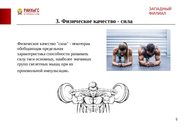 ЗАПАДНЫЙ ФИЛИАЛ 3. Физическое качество - сила Физическое качество 