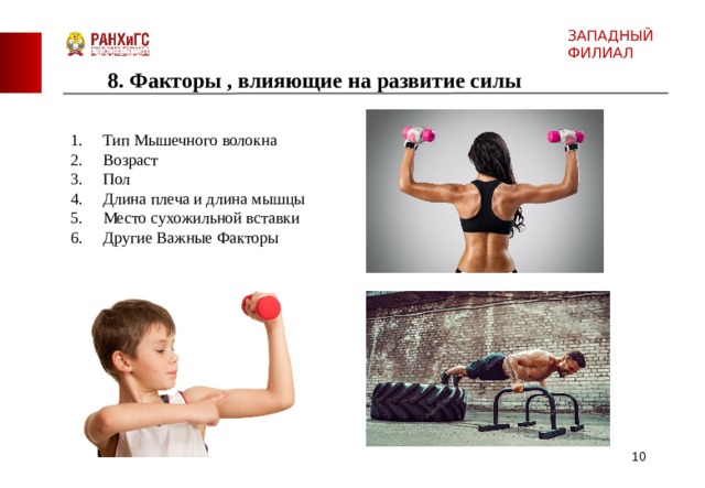 ЗАПАДНЫЙ ФИЛИАЛ 8. Факторы , влияющие на развитие силы Тип Мышечного волокна Возраст Пол Длина плеча и длина мышцы Место сухожильной вставки Другие Важные Факторы   