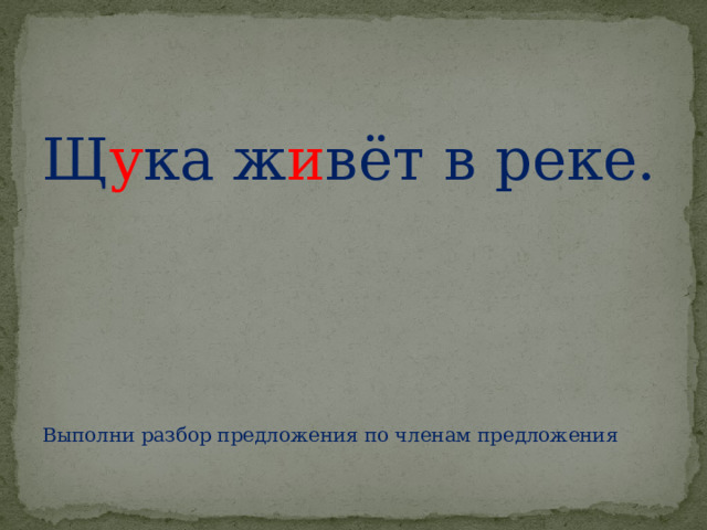 Щ у ка ж и вёт в реке. Выполни разбор предложения по членам предложения 