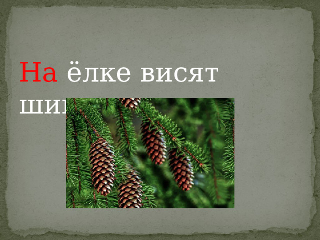 На ёлке висят шишки. 