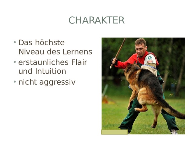 Charakter Das höchste Niveau des Lernens erstaunliches Flair und Intuition nicht aggressiv 
