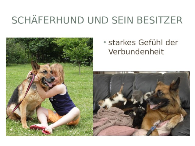 Schäferhund und sein Besitzer starkes Gefühl der Verbundenheit 