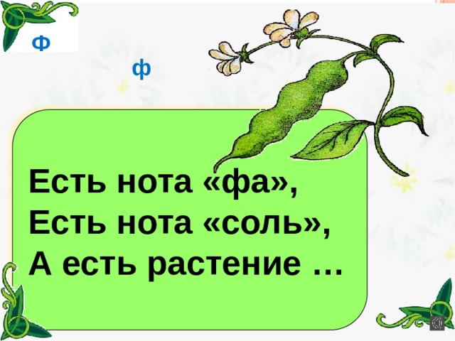 Ф ф Есть нота «фа», Есть нота «соль», А есть растение … 