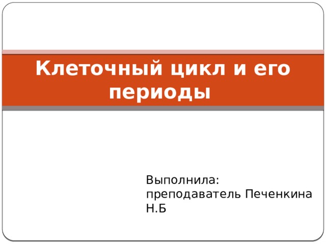 Клеточный цикл и его периоды Выполнила: преподаватель Печенкина Н.Б 
