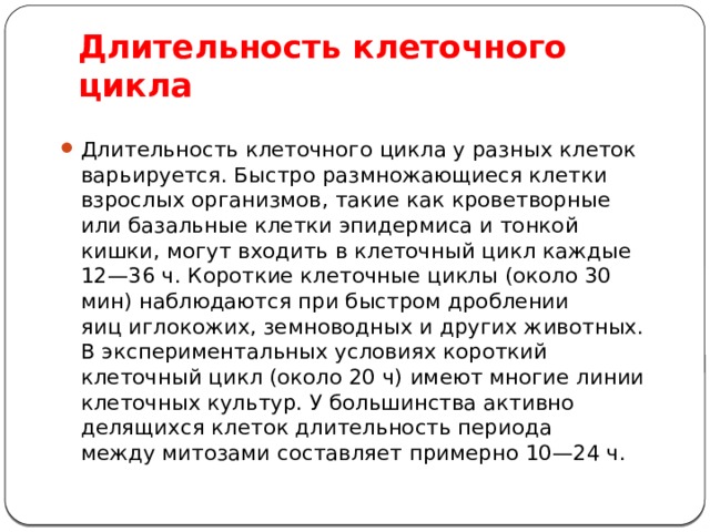 Длительность клеточного цикла Длительность клеточного цикла у разных клеток варьируется. Быстро размножающиеся клетки взрослых организмов, такие как кроветворные или базальные клетки эпидермиса и тонкой кишки, могут входить в клеточный цикл каждые 12—36 ч. Короткие клеточные циклы (около 30 мин) наблюдаются при быстром дроблении яиц иглокожих, земноводных и других животных. В экспериментальных условиях короткий клеточный цикл (около 20 ч) имеют многие линии клеточных культур. У большинства активно делящихся клеток длительность периода между митозами составляет примерно 10—24 ч. 