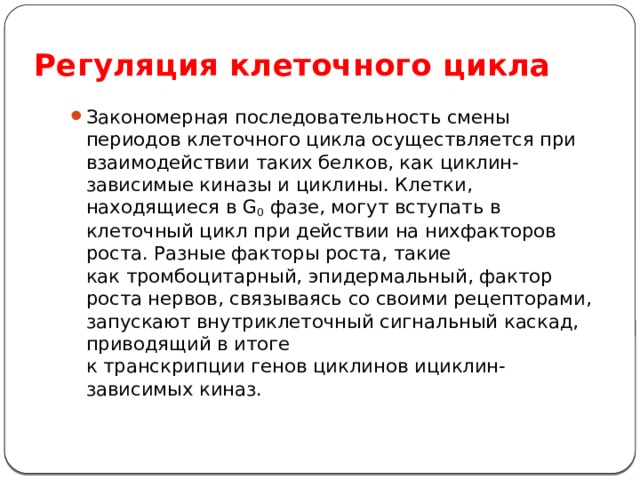 Регуляция клеточного цикла Закономерная последовательность смены периодов клеточного цикла осуществляется при взаимодействии таких белков, как циклин-зависимые киназы и циклины. Клетки, находящиеся в G 0  фазе, могут вступать в клеточный цикл при действии на нихфакторов роста. Разные факторы роста, такие как тромбоцитарный, эпидермальный, фактор роста нервов, связываясь со своими рецепторами, запускают внутриклеточный сигнальный каскад, приводящий в итоге к транскрипции генов циклинов ициклин-зависимых киназ. 