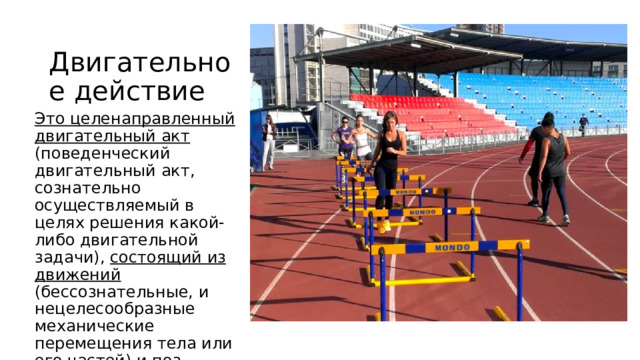 Двигательное действие Это целенаправленный двигательный акт (поведенческий двигательный акт, сознательно осуществляемый в целях решения какой-либо двигательной задачи), состоящий из движений (бессознательные, и нецелесообразные механические перемещения тела или его частей) и поз. 