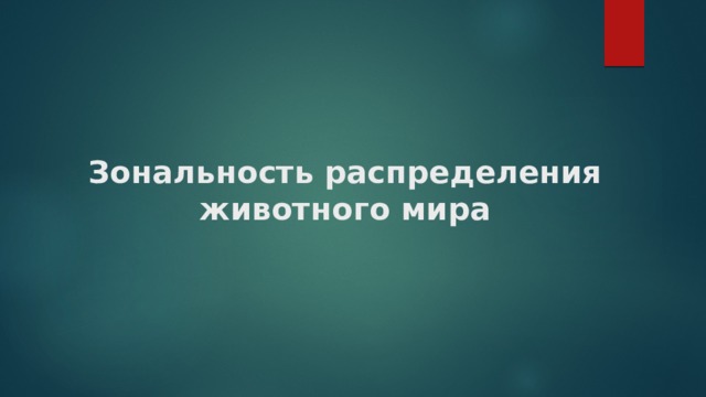 Зональность распределения животного мира 