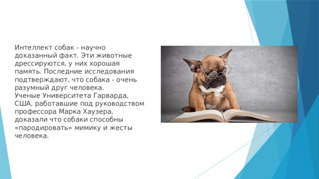 Интеллект собак - научно доказанный факт. Эти животные дрессируются, у них хорошая память. Последние исследования подтверждают, что собака - очень разумный друг человека.  Ученые Университета Гарварда, США, работавшие под руководством профессора Марка Хаузера, доказали что собаки способны «пародировать» мимику и жесты человека. 