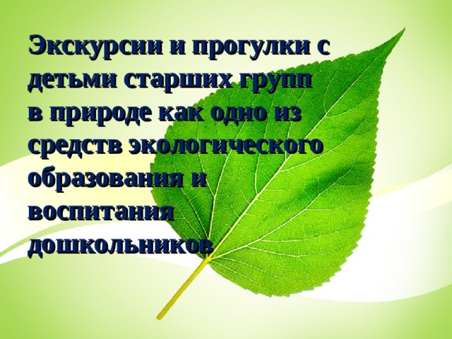 Экскурсии и прогулки с детьми старших групп в природе как одно из средств экологического образования и воспитания дошкольников  