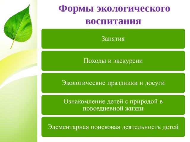  Формы экологического воспитания  