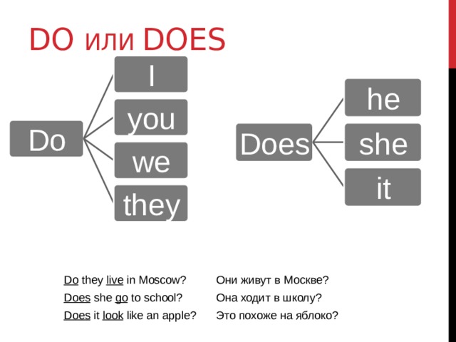Do или does I he you Do Does she we it they Do  they  live  in Moscow? Does  she  go  to school? Они живут в Москве? Она ходит в школу? Does  it  look  like an apple? Это похоже на яблоко? 