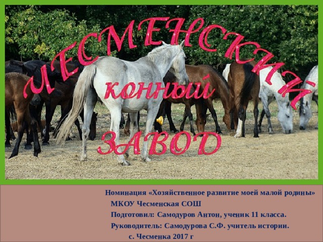  Номинация «Хозяйственное развитие моей малой родины»  МКОУ Чесменская СОШ  Подготовил: Самодуров Антон, ученик 11 класса.  Руководитель: Самодурова С.Ф. учитель истории. с. Чесменка 2017 г 