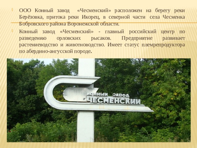 ООО Конный завод «Чесменский» расположен на берегу реки Берёзовка, притока реки Икорец, в северной части  села Чесменка Бобровского района Воронежской области. Конный завод «Чесменский» - главный российский центр по разведению орловских рысаков. Предприятие развивает растениеводство и животноводство. Имеет статус племрепродуктора по абердино-ангусской породе . 