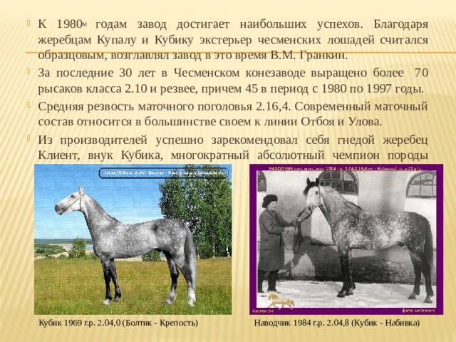 К 1980 м годам завод достигает наибольших успехов. Благодаря жеребцам Купалу и Кубику экстерьер чесменских лошадей считался образцовым, возглавлял завод в это время В.М. Гранкин. За последние 30 лет в Чесменском конезаводе выращено более 70 рысаков класса 2.10 и резвее, причем 45 в период с 1980 по 1997 годы. Средняя резвость маточного поголовья 2.16,4. Современный маточный состав относится в большинстве своем к линии Отбоя и Улова. Из производителей успешно зарекомендовал себя гнедой жеребец Клиент, внук Кубика, многократный абсолютный чемпион породы Гайдук и другие.[4,5] Кубик 1969 г.р. 2.04,0 (Болтик - Крепость) Наводчик 1984 г.р. 2.04,8 (Кубик - Набивка) 