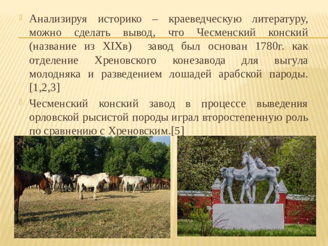 Анализируя историко – краеведческую литературу, можно сделать вывод, что Чесменский конский (название из XIXв) завод был основан 1780г. как отделение Хреновского конезавода для выгула молодняка и разведением лошадей арабской пароды.[1,2,3] Чесменский конский завод в процессе выведения орловской рысистой породы играл второстепенную роль по сравнению с Хреновским.[5] 