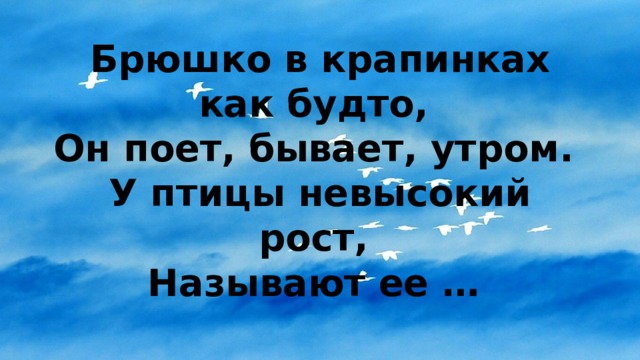 Брюшко в крапинках как будто,  Он поет, бывает, утром.  У птицы невысокий рост,  Называют ее … 