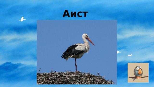 Аист 