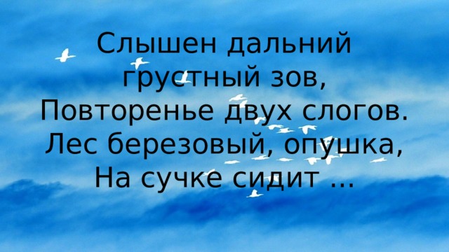 Слышен дальний грустный зов,  Повторенье двух слогов.  Лес березовый, опушка,  На сучке сидит ... 
