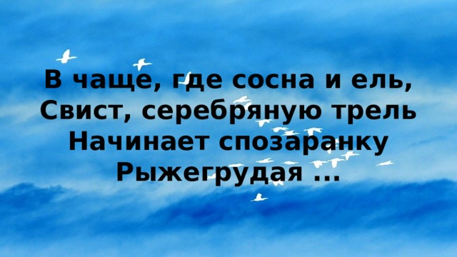 В чаще, где сосна и ель,  Свист, серебряную трель  Начинает спозаранку  Рыжегрудая ... 
