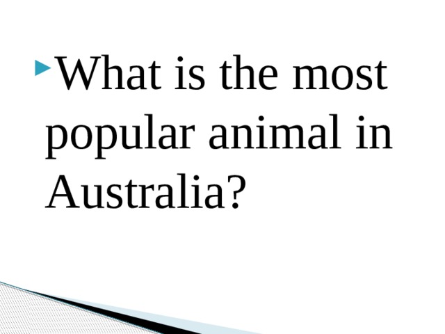 What is the most popular animal in Australia? 