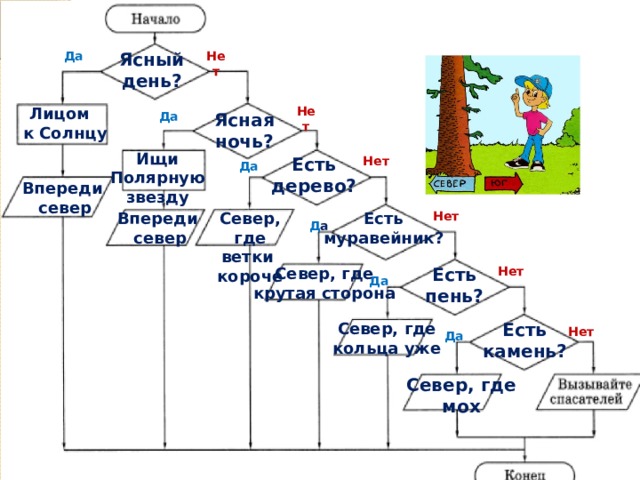 № 196 Проверь домашнюю работу: Нет Ясный Да день? Нет Лицом к Солнцу Да Ясная ночь? Ищи Полярную звезду Нет Есть дерево? Да Впереди север Есть Север, где Нет Впереди ветки короче север муравейник? Д а Север, где Есть Нет крутая сторона пень? Да Есть Север, где камень? кольца уже Нет Да Север, где мох 