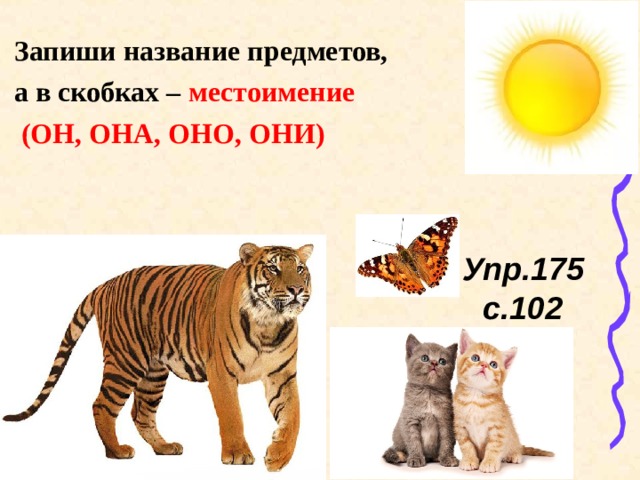 Запиши название предметов, а в скобках – местоимение  (ОН, ОНА, ОНО, ОНИ) Упр.175 с.102 