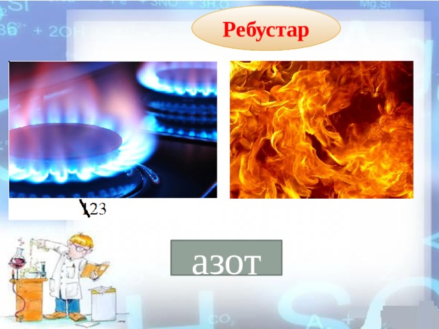 Ребустар азот 