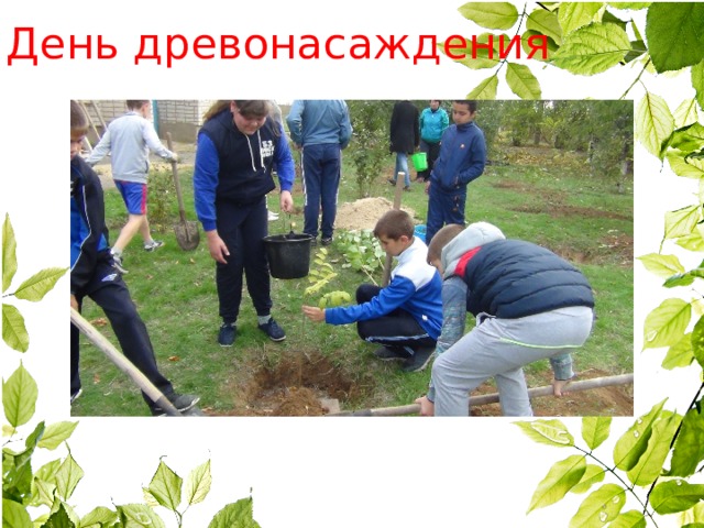 День древонасаждения 
