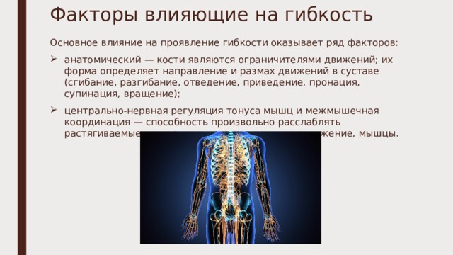 Факторы влияющие на гибкость Основное влияние на проявление гибкости оказывает ряд факторов: анатомический — кости являются ограничителями движений; их форма определяет направление и размах движений в суставе (сгибание, разгибание, отведение, приведение, пронация, супинация, вращение); центрально-нервная регуляция тонуса мышц и межмышечная координация — способность произвольно расслаблять растягиваемые и напрягать, осуществляющие движение, мышцы. 