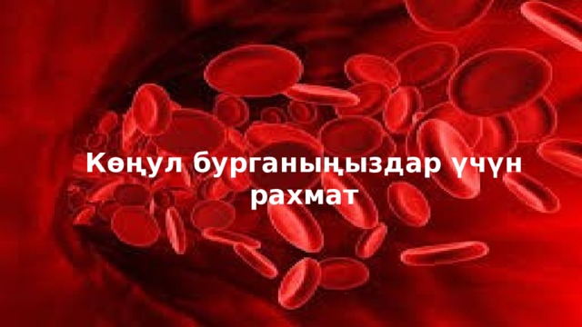 Көңул бурганыңыздар үчүн рахмат 