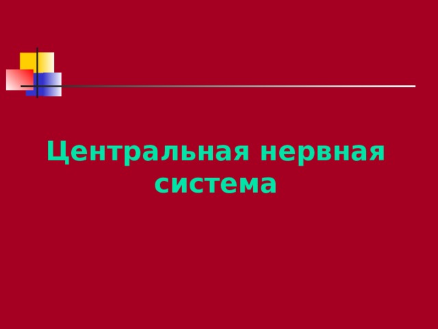 Центральная нервная система 