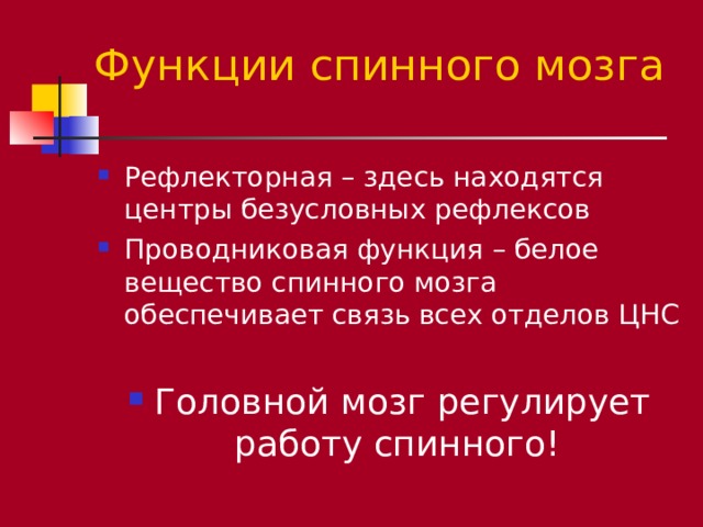 Функции спинного мозга Рефлекторная – здесь находятся центры безусловных рефлексов Проводниковая функция – белое вещество спинного мозга обеспечивает связь всех отделов ЦНС  Головной мозг регулирует работу спинного! 